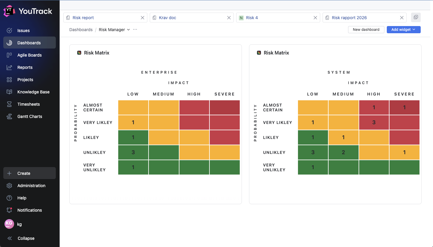 Dual risk matrixes view (light)