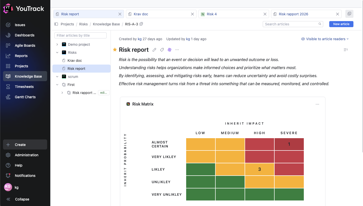 Risk Manager report view (light)